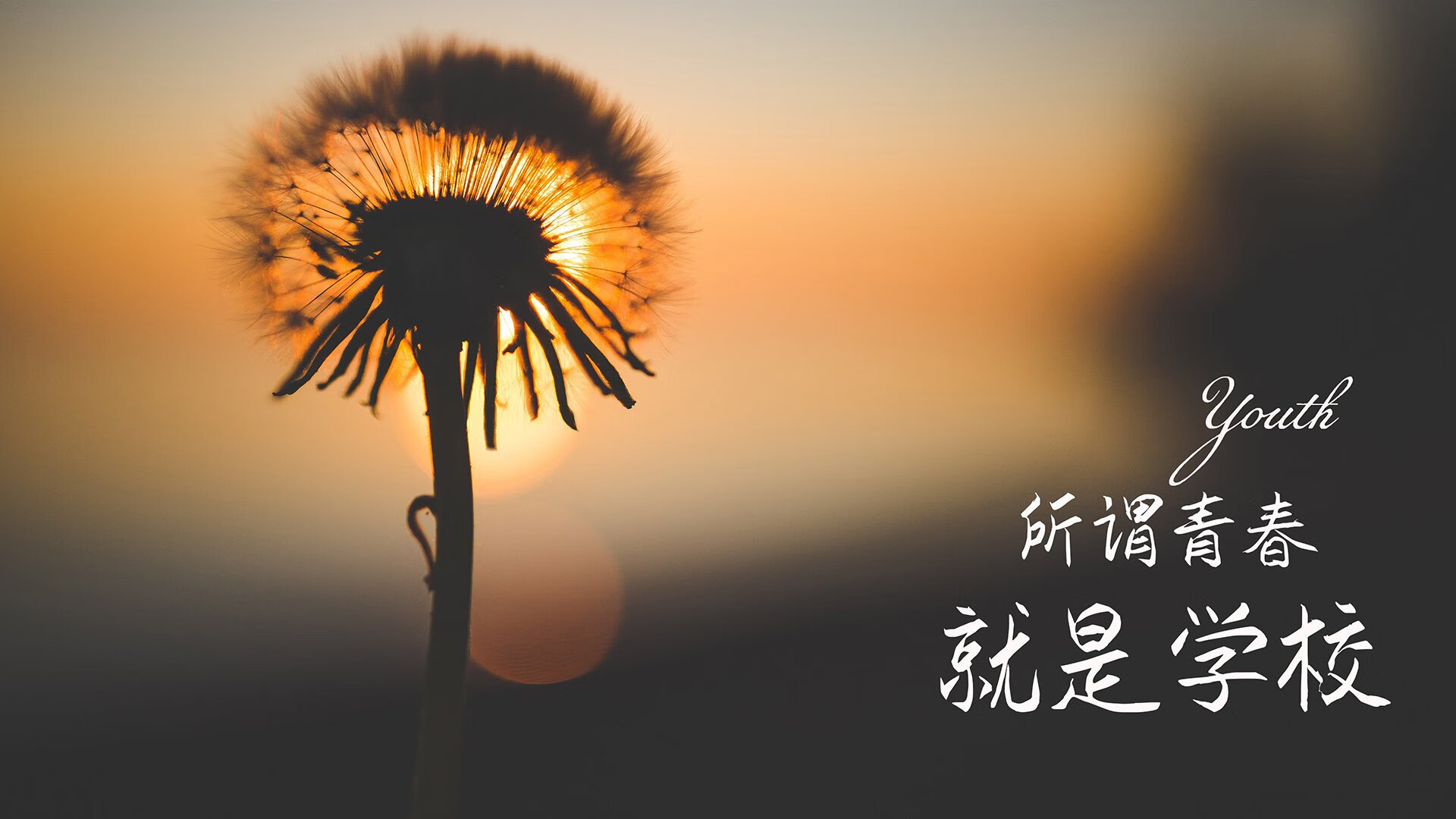史上最大“黑马队”崛起：逆境中夺冠，十大黑马