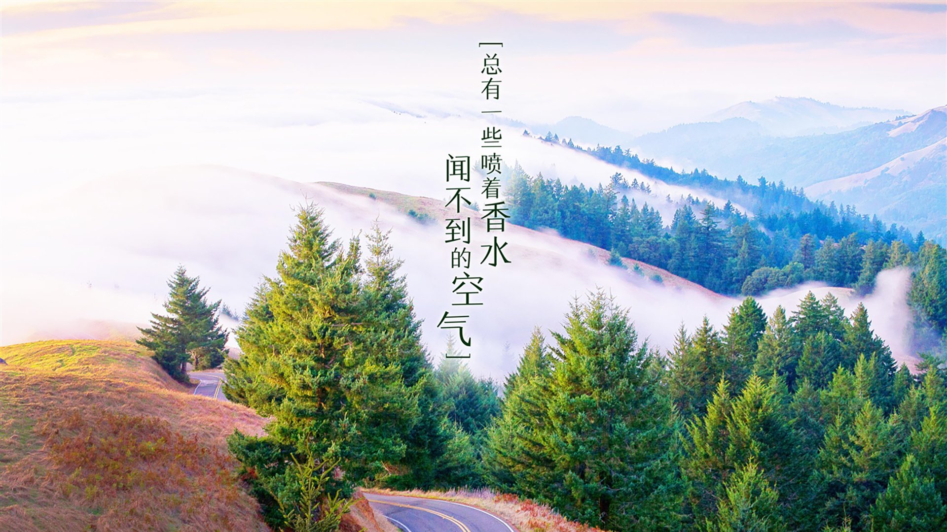 开云体育官方网入口-扎卡尼补时绝平克罗地亚，助意大利晋级欧洲杯淘汰赛。，欧洲杯意大利小组第一
