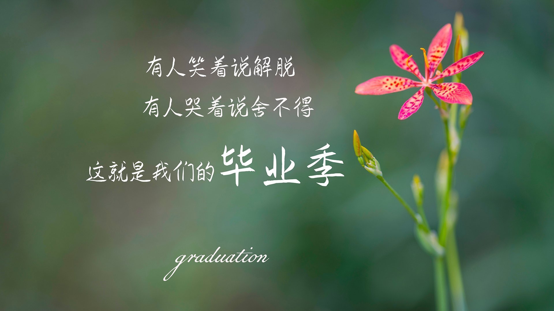 体育赛事多渠道传播，体育赛事多渠道传播的原因