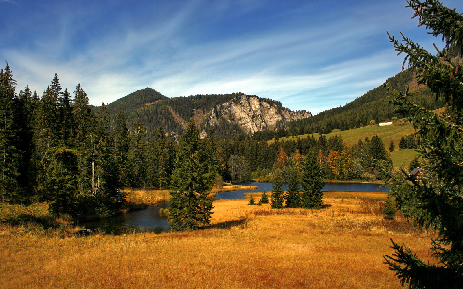 跳水细节打磨突尼斯不断进步，跳水狰狞