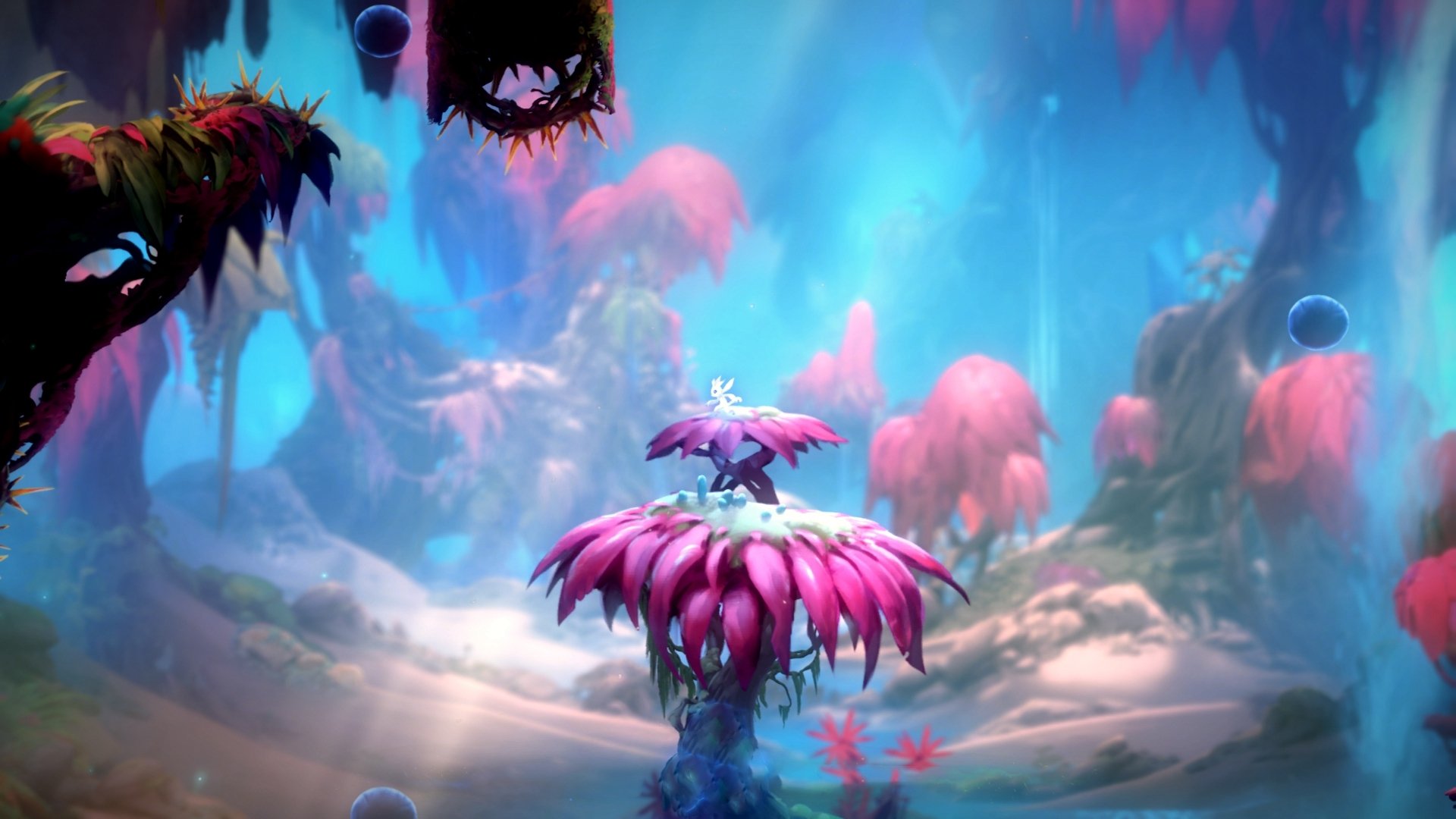 雷霆老将分享比赛经验鼓励年轻球员冷静应对，雷霆球员2021