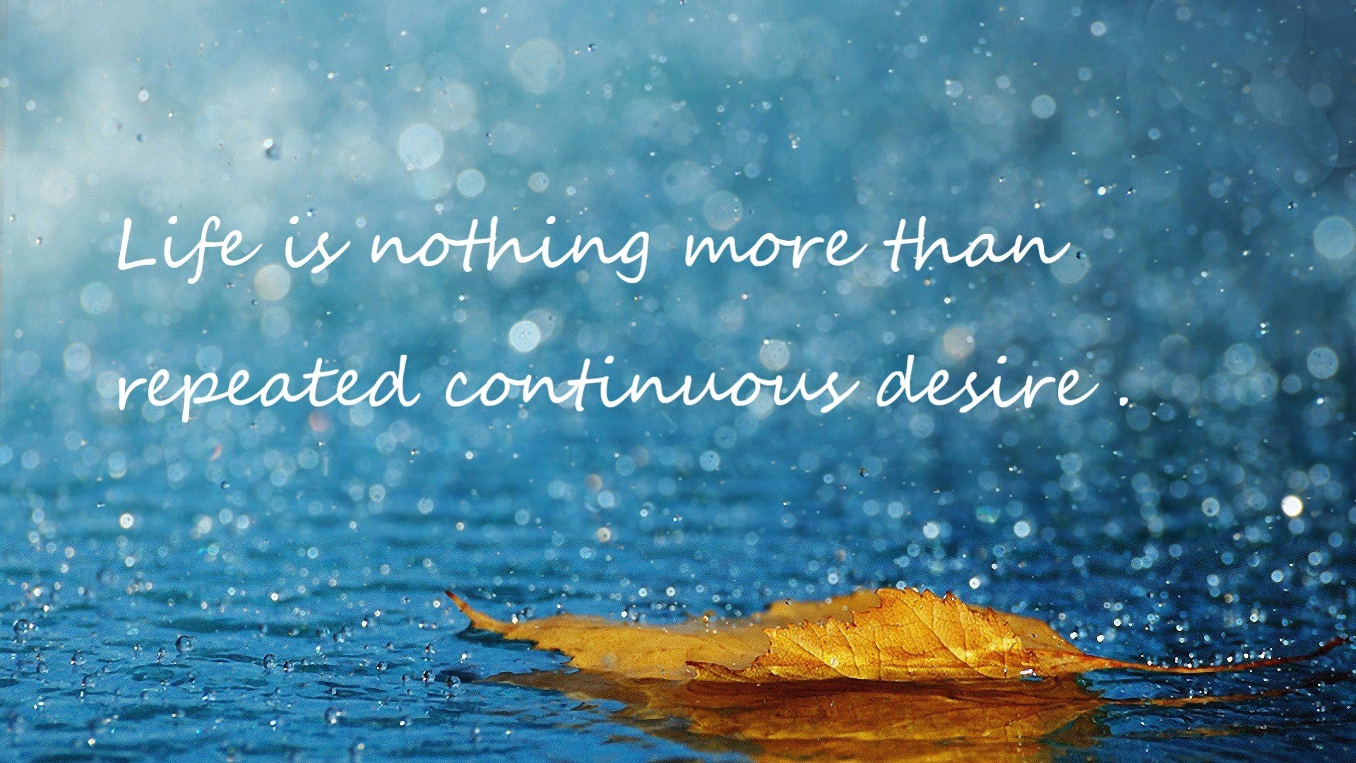 马克·阿特金森：突破与防守反击的完美结合，为南非队赢得关键胜利