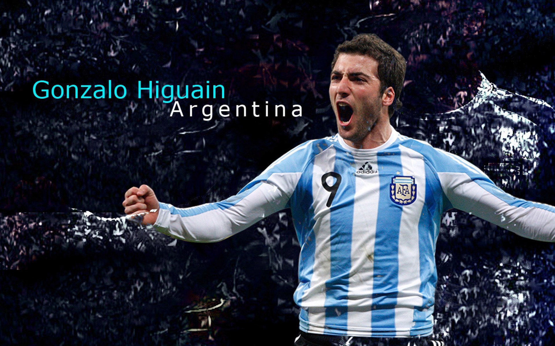 开云在线直播-“球场内外：球员的动人故事和激情人生”，关于球员