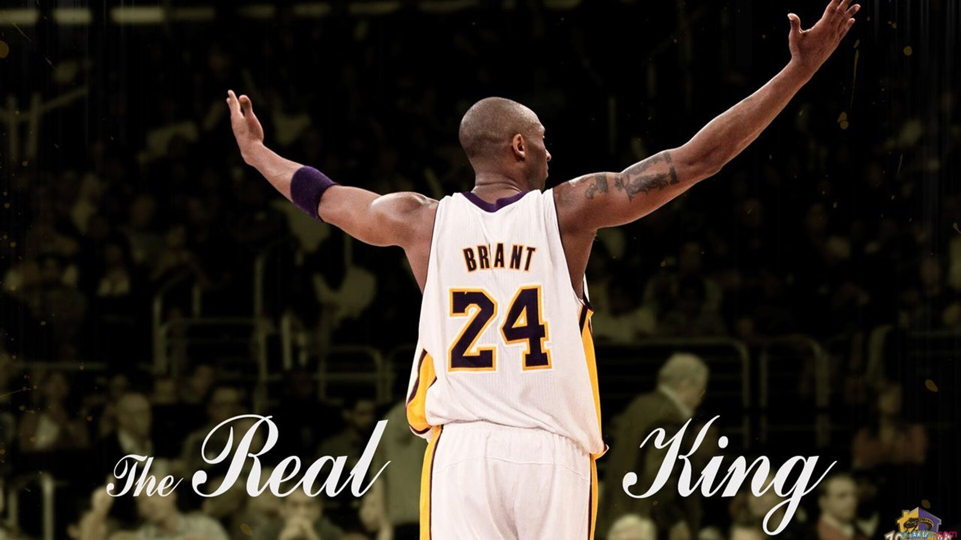 裁判新规不断推行：怎么让比赛更公平、更透明？，裁判宣布比赛规则