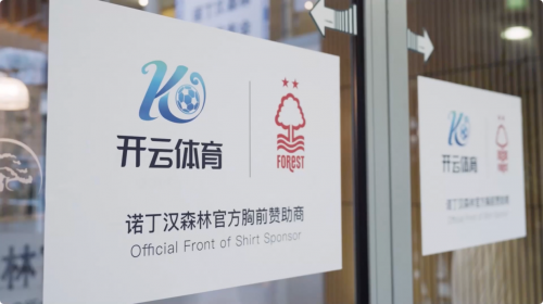 开云体育：德甲汉诺威96的保级策略与战术调整的简单介绍